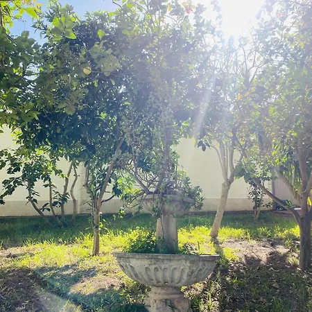 Villa El Limonar, 8 Pax